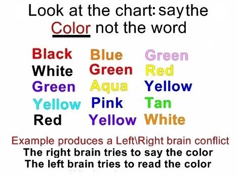 Left brain Versus Right Brain