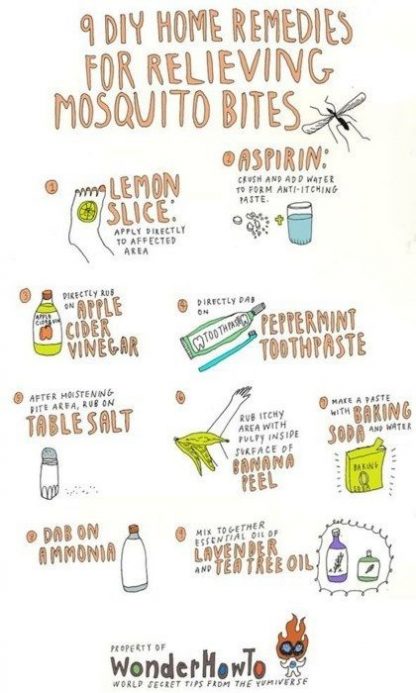 home remedies for bug bites that itch and swell uk home remedies for bug bites that itch and swell uk