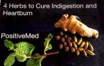 herbs to cure indigestion and heartburn