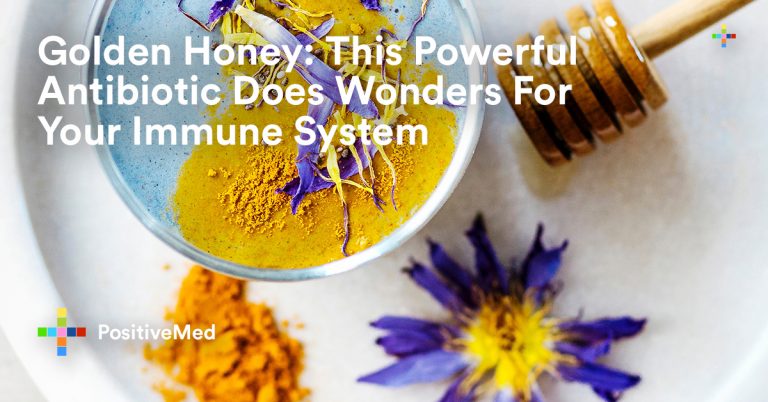 Golden Honey: This Powerful Antibiotic Does Wonders For Your Immune System Golden Honey: This Powerful Antibiotic Does Wonders For Your Immune System