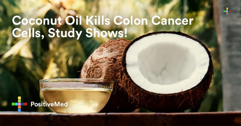 Coconut Oil Kills Colon Cancer Cells, Study Shows!