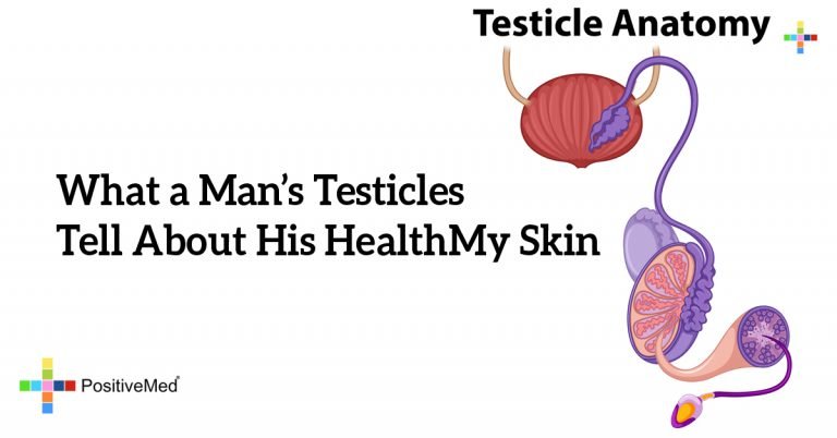 What a Man’s Testicles Tell About His Health What a Man’s Testicles Tell About His Health
