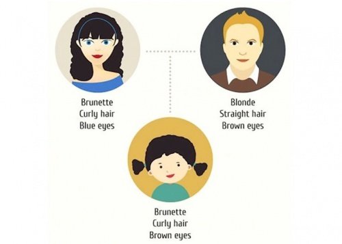 Will Your New Baby Look Like You? A Helpful How-to Guide