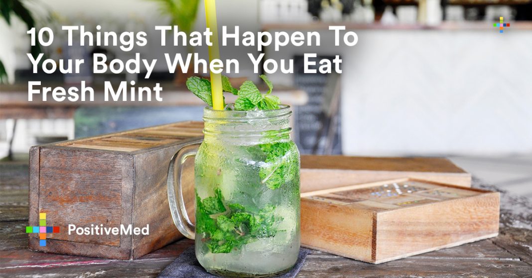 10 Things That Happen To Your Body When You Eat Fresh Mint