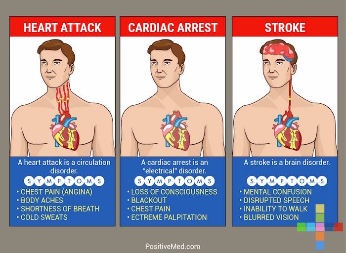 THIS May Save Your Life: The Difference Between A Heart Attack, Stroke And Cardiac Arrest