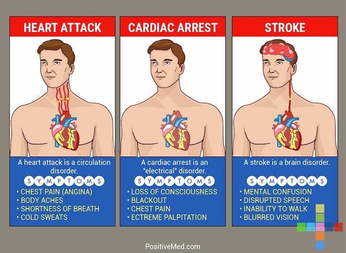 THIS May Save Your Life: The Difference Between A Heart Attack, Stroke And Cardiac Arrest