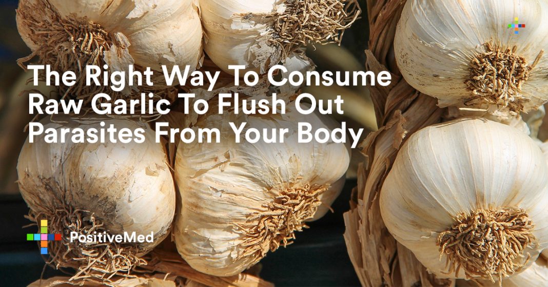 The Right Way To Consume Raw Garlic To Flush Out Parasites From Your Body
