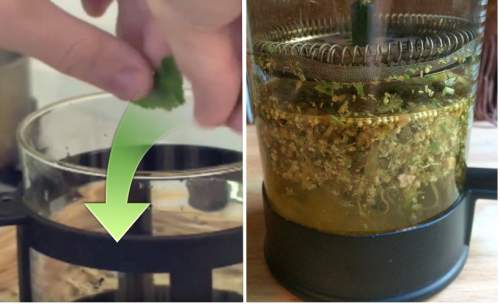 This Woman Adds Herbs In A French Press, The Result Is Amazing!