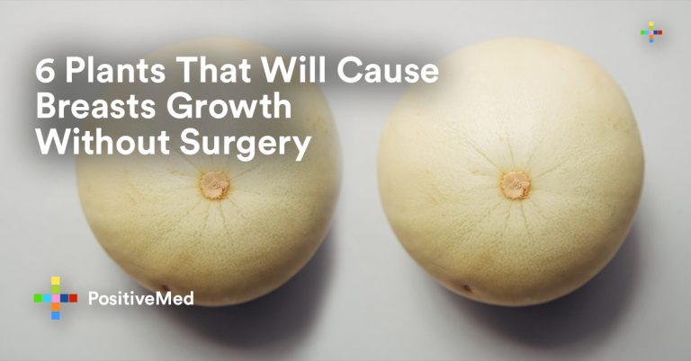 6 Plants That Will Cause Breasts Growth Without Surgery! 6 Plants That Will Cause Breasts Growth Without Surgery!