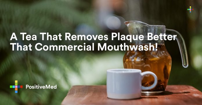 A Tea That Removes Plaque Better That Commercial Mouthwash.