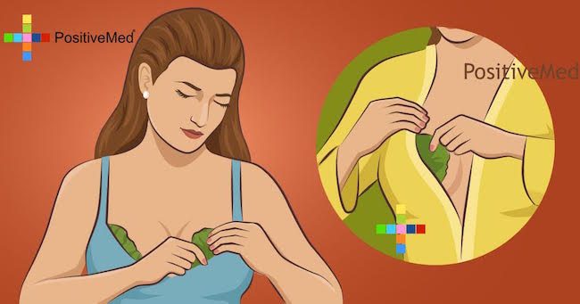 More and More Women Put Cabbage on Their Breasts; This Solves A Very Common Problem!