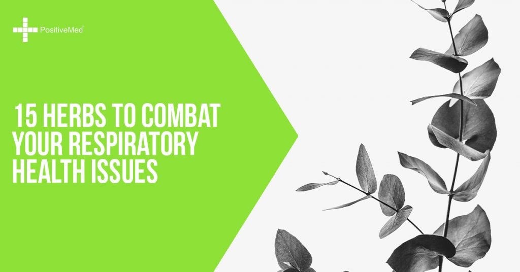 15 Herbs to Combat Your Respiratory Health Issues