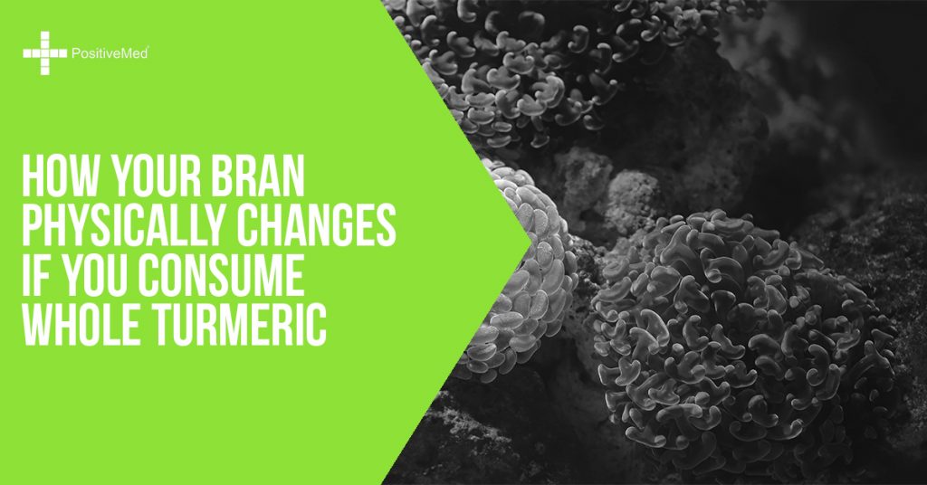How Your Brain Physically Changes If You Consume Whole Turmeric