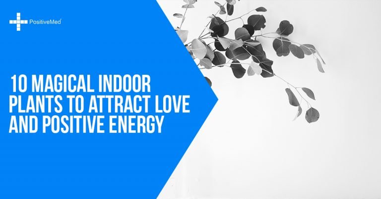 10 Magical Indoor Plants to Attract Love and Positive Energy 10 Magical Indoor Plants to Attract Love and Positive Energy