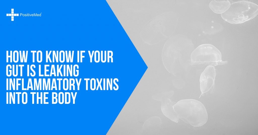 How to Know If Your Gut is Leaking Inflammatory Toxins into the Body