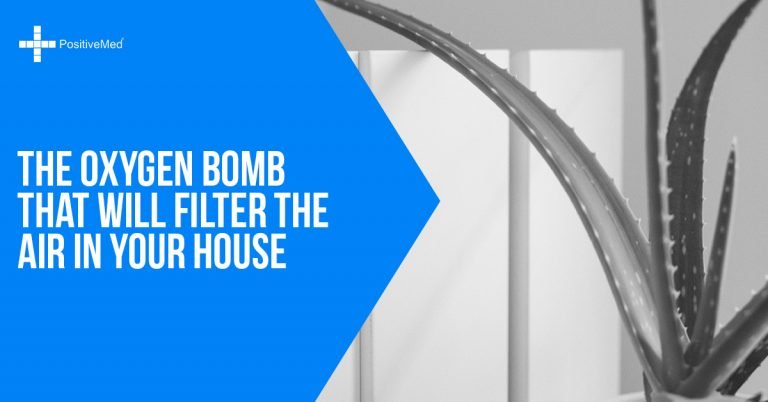 The Oxygen Bomb That Will Filter the Air in Your House The Oxygen Bomb That Will Filter the Air in Your House