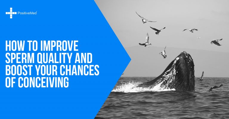 How to Improve Sperm Quality and Boost Your Chances of Conceiving How to Improve Sperm Quality and Boost Your Chances of Conceiving