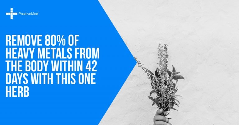 Remove 80% of Heavy Metals from the Body within 42 Days with This One Herb Remove 80% of Heavy Metals from the Body within 42 Days with This One Herb