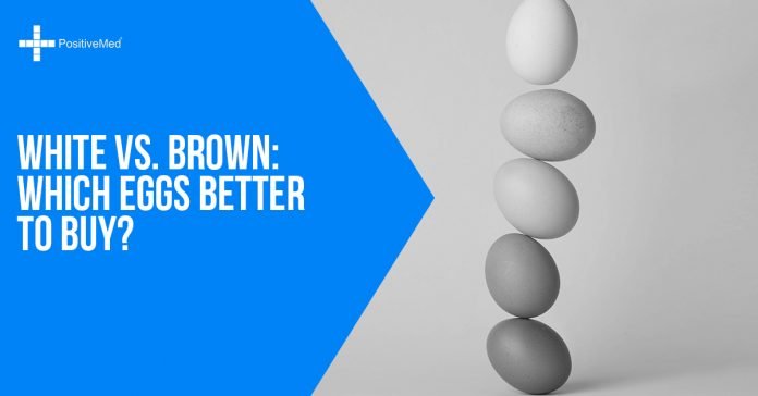 White vs. Brown Which Eggs Better to Buy