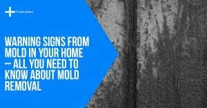 Warning Signs From Mold In Your Home - All You Need to Know About Mold Removal