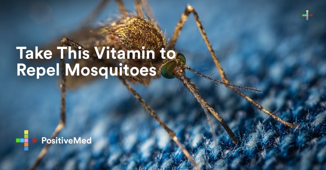 Take This Vitamin to Repel Mosquitoes PositiveMed