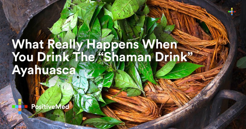 What Really Happens When You Drink The Shaman Drink Ayahuasca