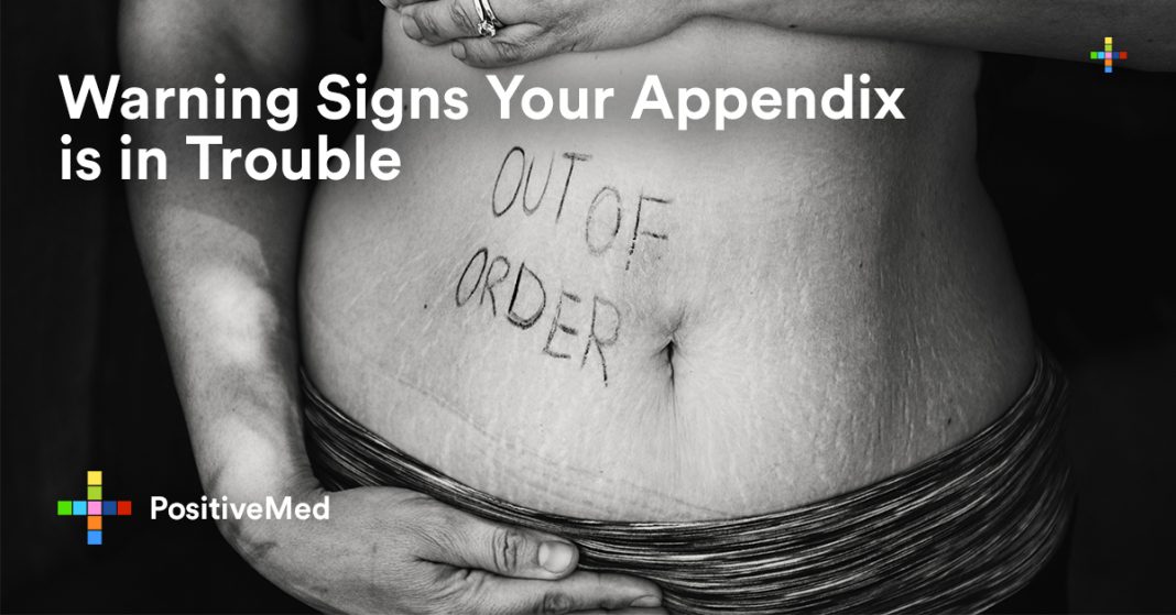 Warning Signs Your Appendix is in Trouble PositiveMed