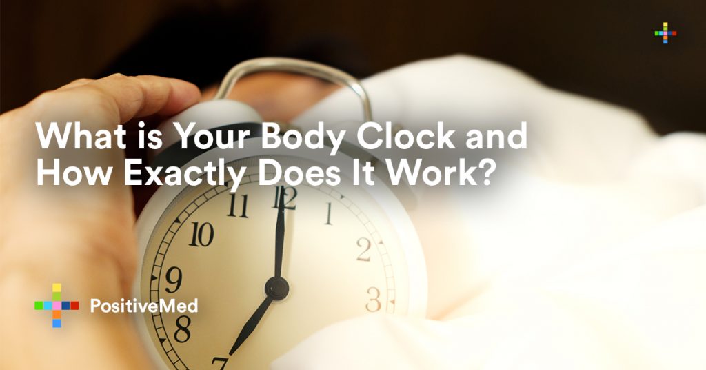 What is Your Body Clock and How Exactly Does It Work.