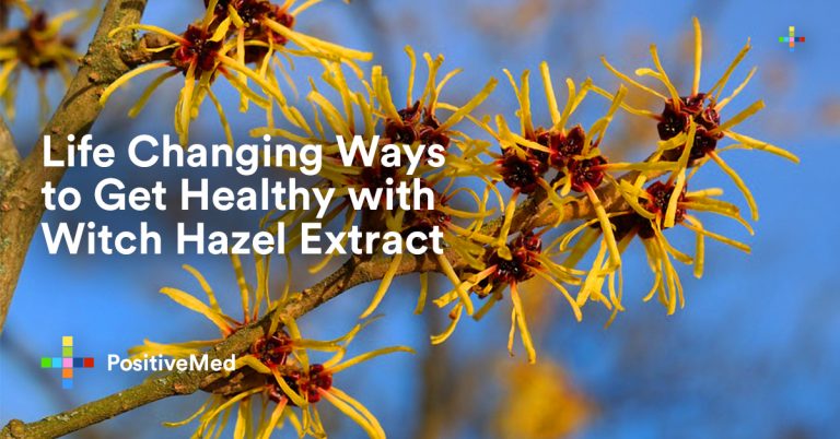 Life Changing Ways to Get Healthy with Witch Hazel Extract Life Changing Ways to Get Healthy with Witch Hazel Extract