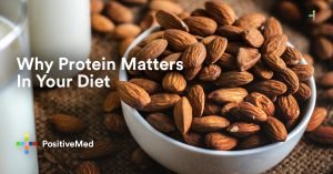 Why Protein Matters In Your Diet.