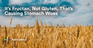 It’s Fructan, Not Gluten, That’s Causing Stomach Woes.