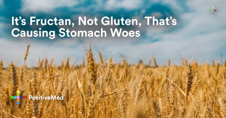 It’s Fructan, Not Gluten, That’s Causing Stomach Woes