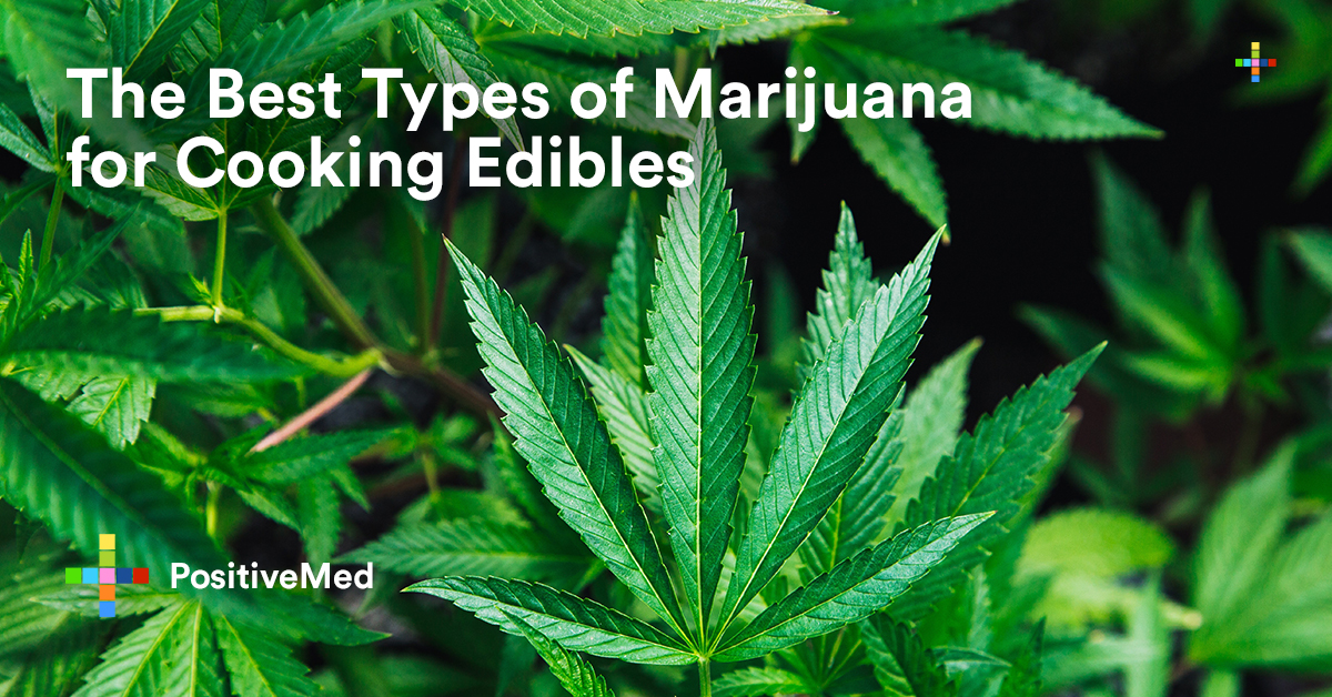 The Best Types of Marijuana for Cooking Edibles PositiveMed