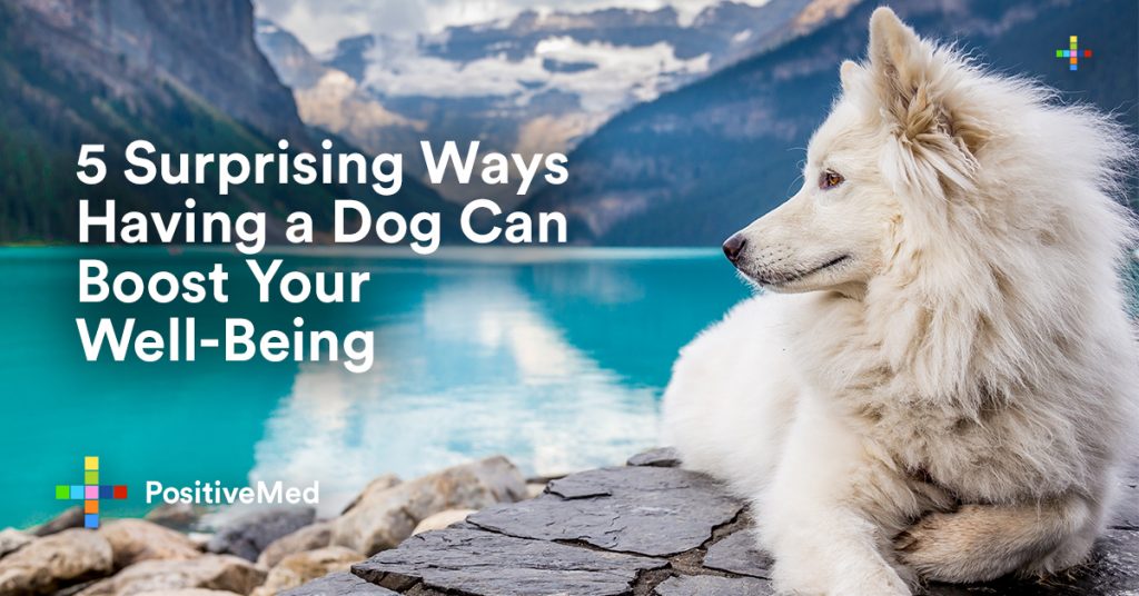 5 Surprising Ways Having a Dog Can Boost Your Well-Being