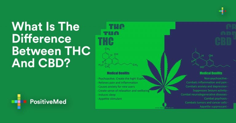 What Is The Difference Between THC And CBD?