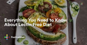 Everything You Need to Know About Lectin Free Diet