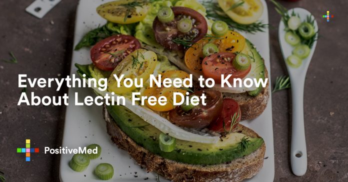 Everything You Need to Know About Lectin Free Diet