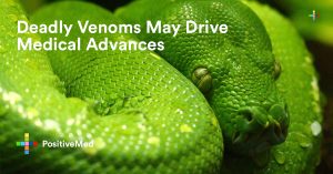 Deadly Venoms May Drive Medical Advances