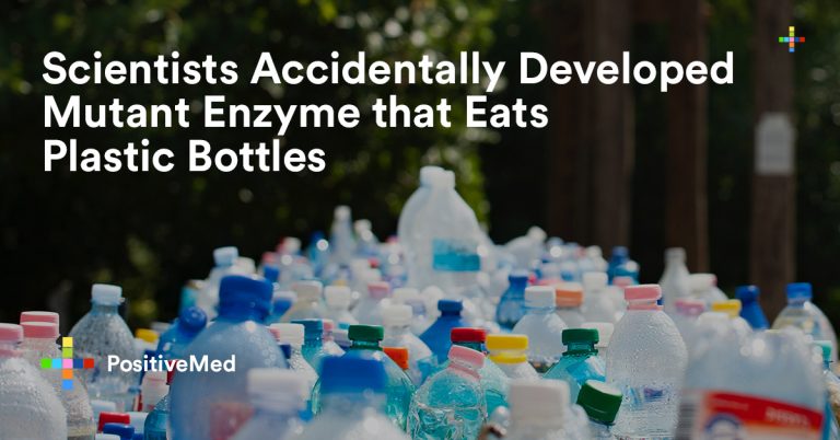 Scientists Accidentally Developed Mutant Enzyme that Eats Plastic Bottles Scientists Accidentally Developed Mutant Enzyme that Eats Plastic Bottles