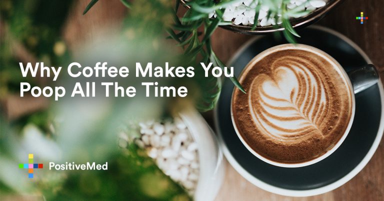 Why Coffee Makes You Poop All The Time Why Coffee Makes You Poop All The Time