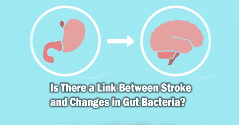 Is There a Link Between Stroke and Changes in Gut Bacteria? Is There a Link Between Stroke and Changes in Gut Bacteria?