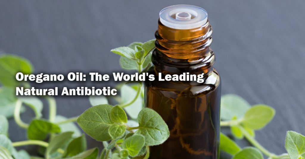 Oregano Oil The World's Leading Natural Antibiotic.