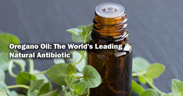 Oregano Oil: The World’s Leading Natural Antibiotic