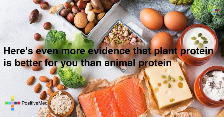 Here’s Even More Evidence That Plant Protein Is Better For You Than Animal Protein