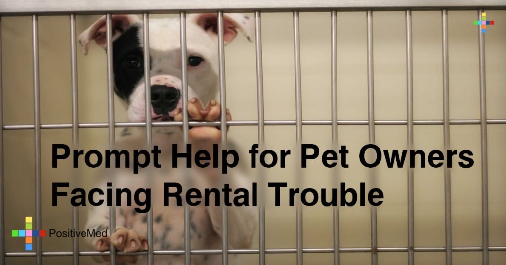 Prompt Help for Pet Owners Facing Rental Trouble