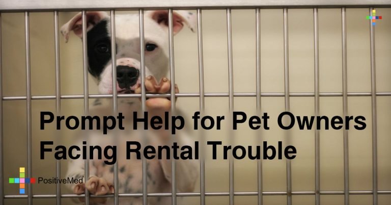 Prompt Help for Pet Owners Facing Rental Trouble Prompt Help for Pet Owners Facing Rental Trouble