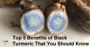 24Top-5-Benefits-of-Black-Turmeric-That-You-Should-Know.jpg
