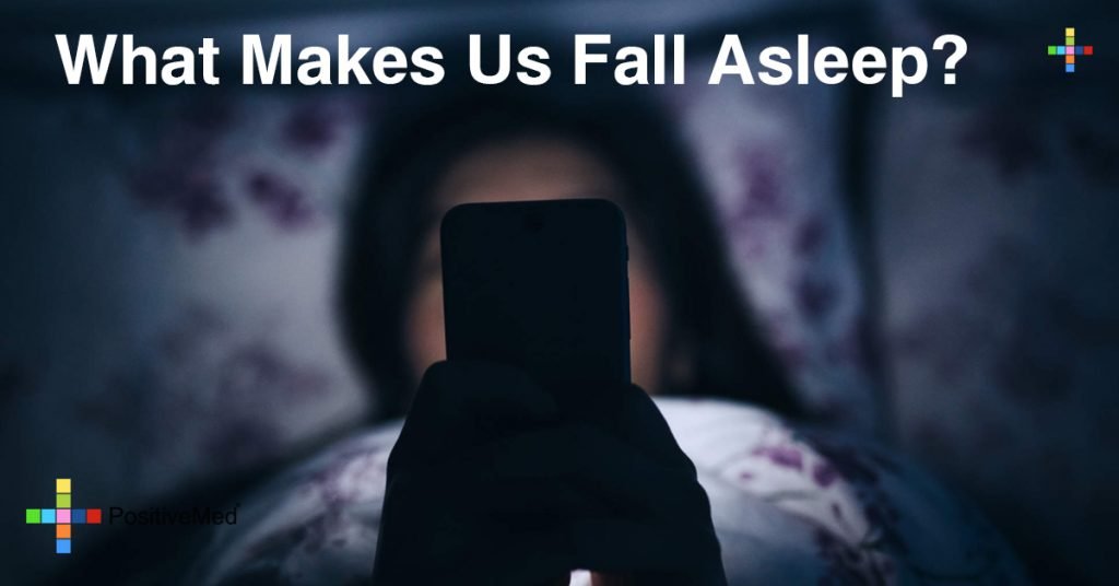 What Makes Us Fall Asleep?