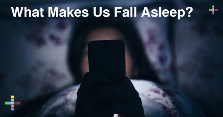 What Makes Us Fall Asleep? What Makes Us Fall Asleep?