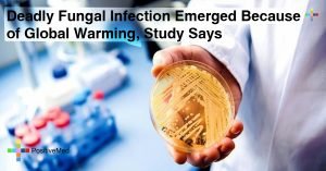 Deadly-Fungal-Infection-Emerged-Because-of-Global-Warming-Study-Says